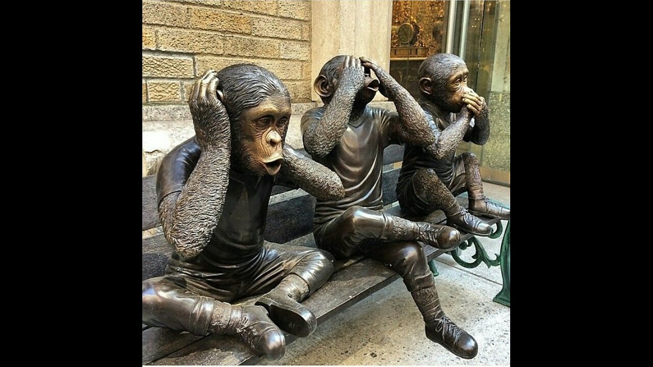 MONKEY SEE MONKEY DOO, BUT WHEN YOUR MONKEY IS A LYING SCAMMER WILL THEY GET CAUGHT 2, JUMP INN