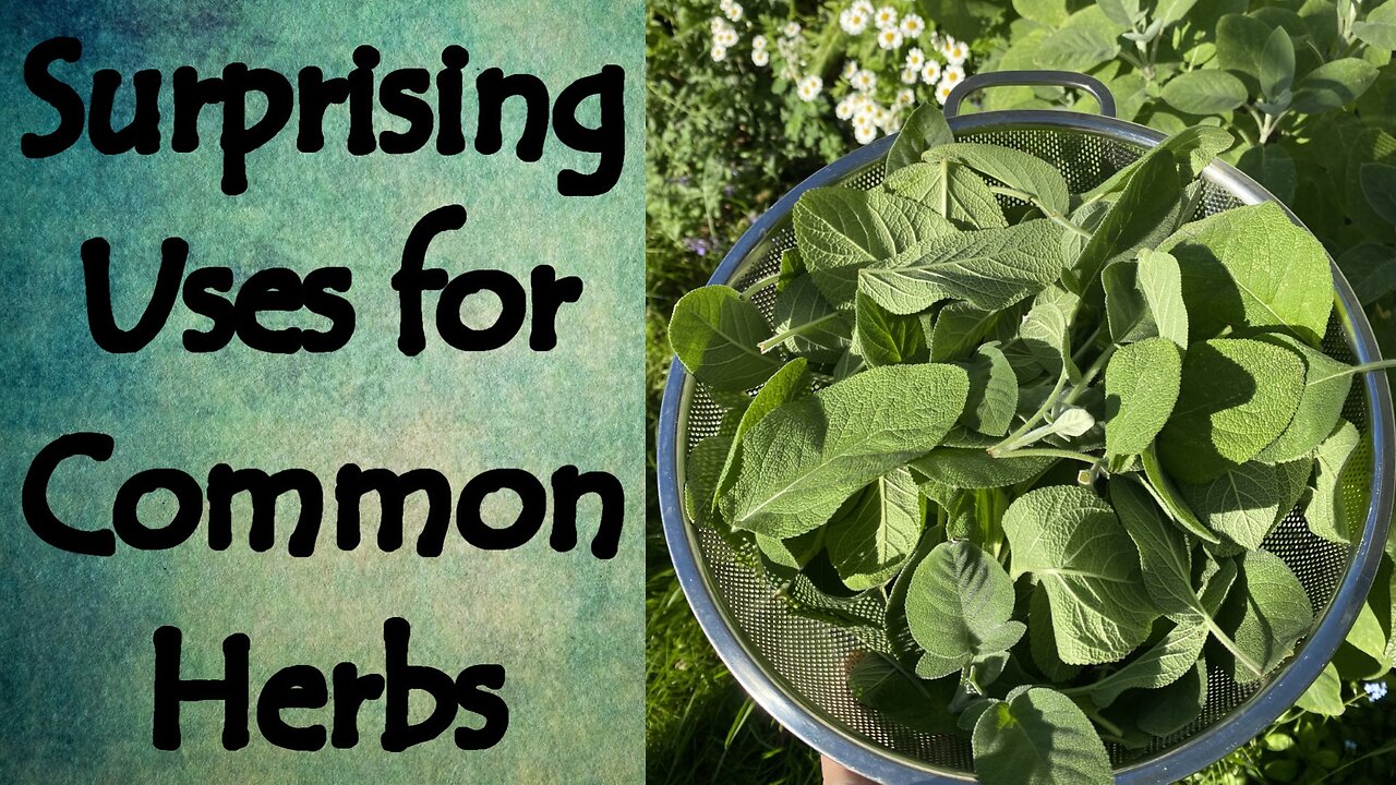 Surprising Uses for Common Pantry Herbs