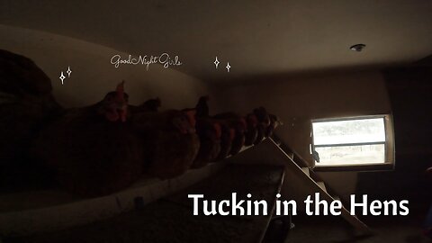 Tuckin in the Hens | 3pm in NWO
