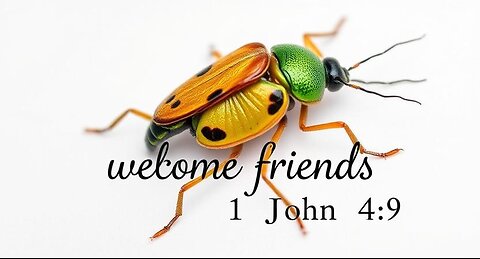 Do you like bugs in your skin? - 1 John 4:9