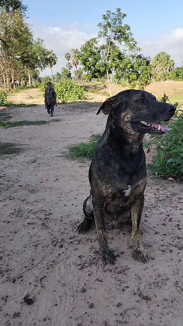 Amazing Best SokYalla, OG, Pao & Mom Are Famous Job Best SokYaa, OG, Pao & Mom Are Famous Around Th