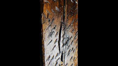 Yam so crispy, you can hear it.