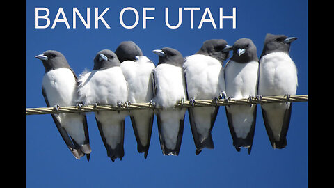 MORE Mormon Mafia Trash over ARIZONA - Nov 88 2025 - Part 2 -