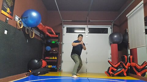 WTD 2 Step Kick Combination 189