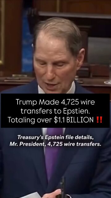 What's all these wire transfers from Trump to Epstien?