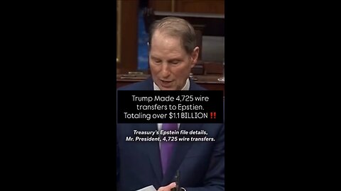 What's all these wire transfers from Trump to Epstien?