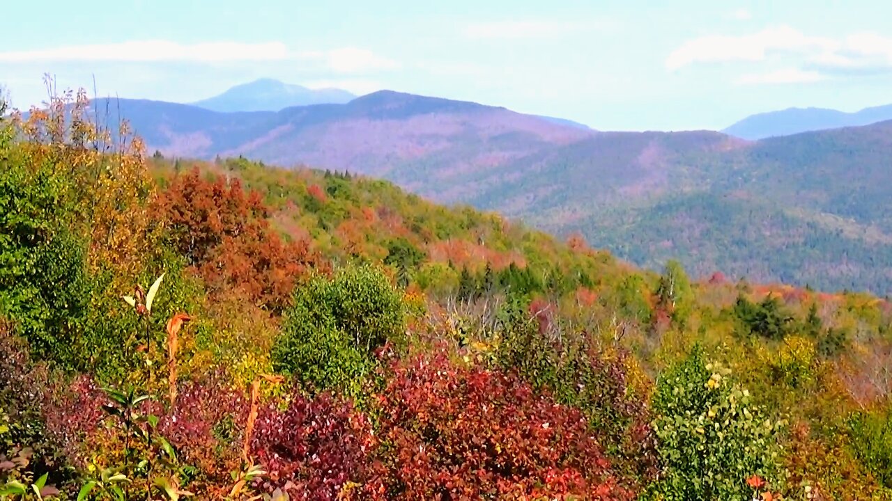 Fall Foliage