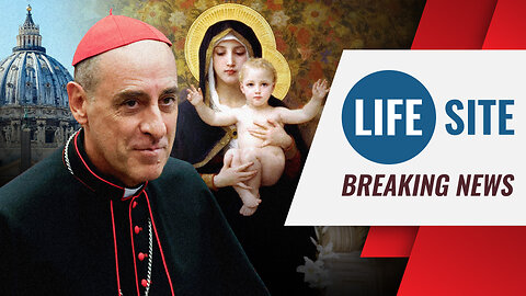 BREAKING: Vatican REJECTS Mary as Co-Redemptrix?!