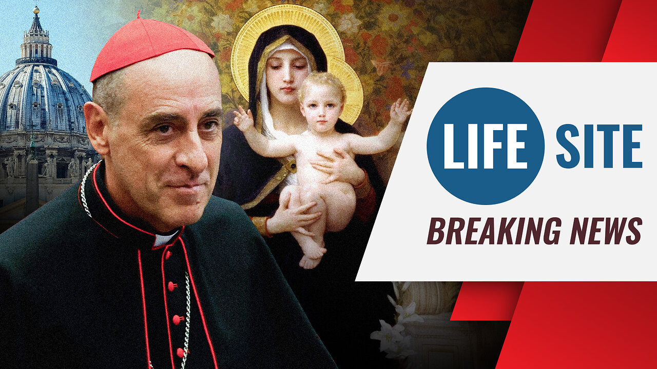 BREAKING: Vatican REJECTS Mary as Co-Redemptrix?!