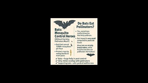 Bats 🦇 Eat 1000+ Mosquitoes 🦟 Per Hour! 🦇 Nature’s Pest Control