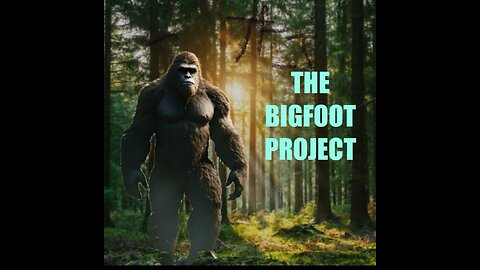 THE BIGFOOT PROJECT