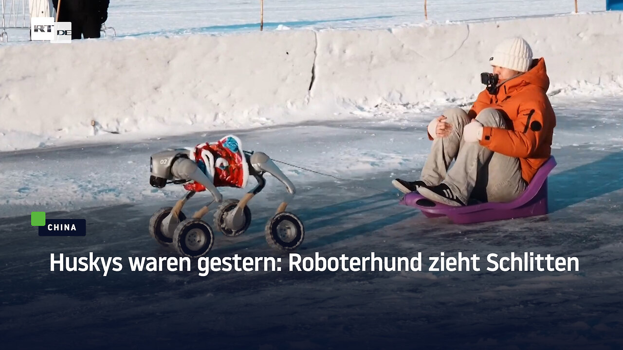 Huskys waren gestern: Roboterhund zieht Schlitten