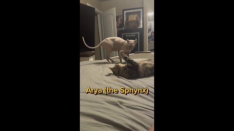 Arya and Agatha.
