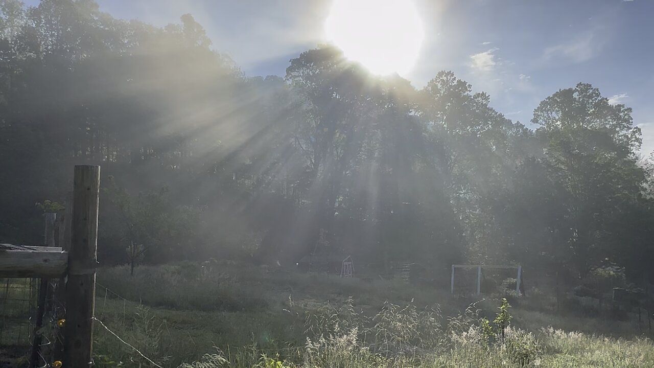 Happy Mother’s Day from Renewed Homestead