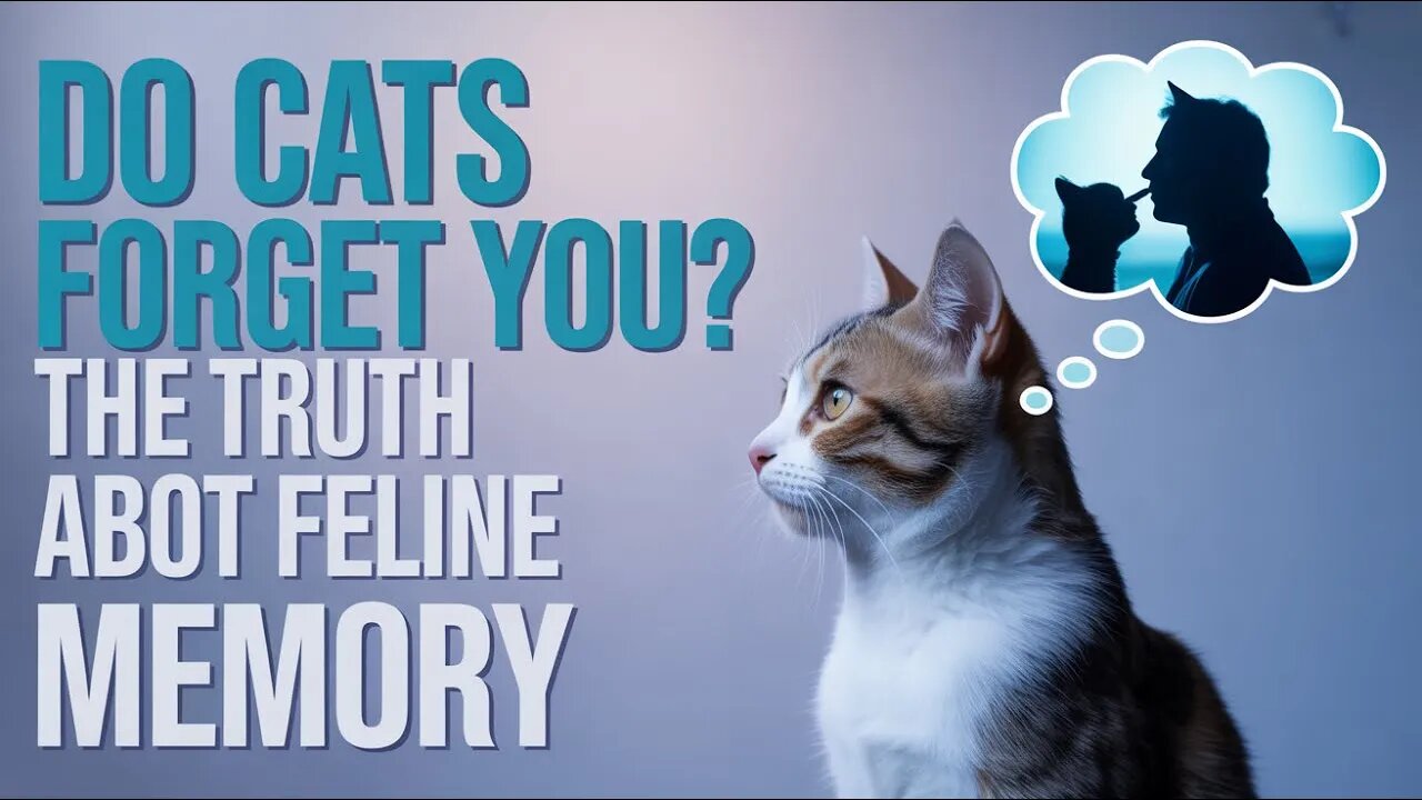 Do Cats Forget You? The Truth About Feline Memory #cat #memory #catbehavior #catfacts #petcare