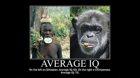 Retarded niggers dont know what continent they live on