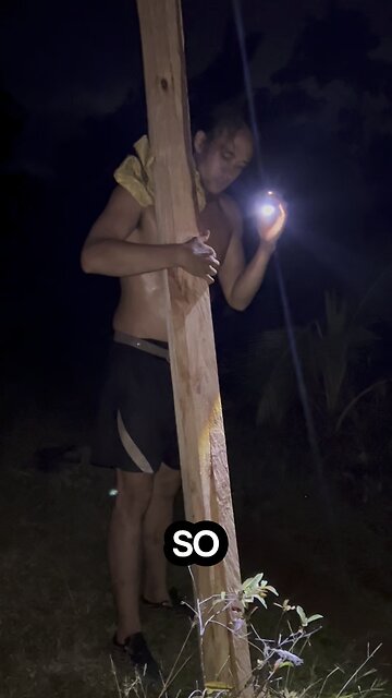 They say fruit eaters are weak #gorilla