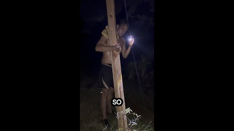 They say fruit eaters are weak #gorilla