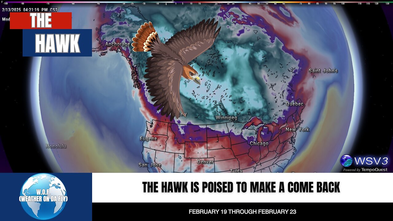 🥶 Arctic Blast Heads South: Central US Alert! 2/13/25 #shorts #weather