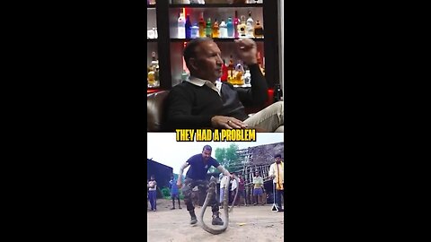 This is What You Call Snakes Gone Wild 😂