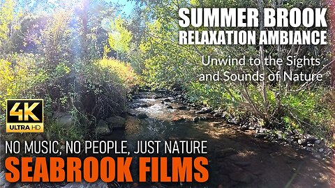 Summer Brook Relaxation Ambiance: Unwind to the Sights & Sounds of Nature