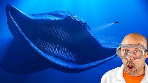 Terrifying ocean creatures