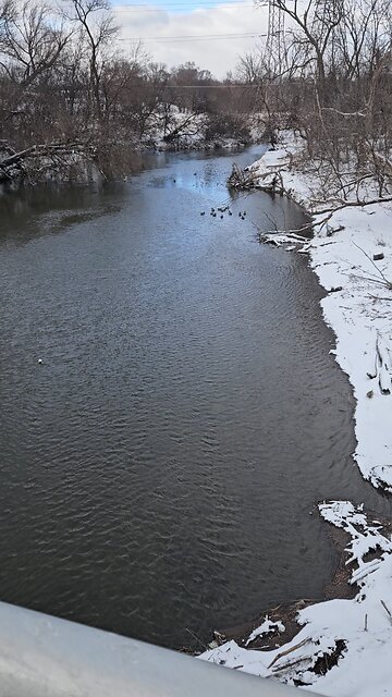 Ducks on Salt Creek's Blue Water