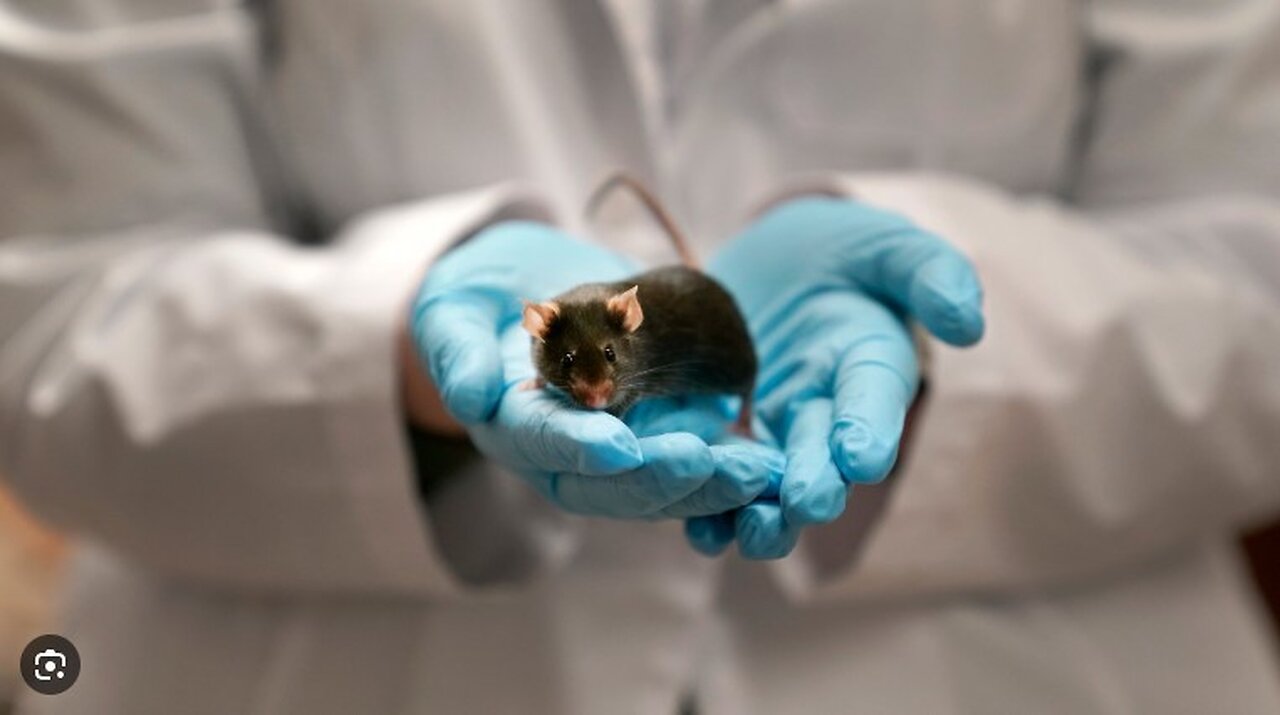 Wasteful and Woke Animal Tests Axed by the Trump Administration