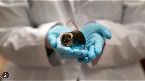 Wasteful and Woke Animal Tests Axed by the Trump Administration 