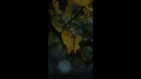 🔥 Surah An-Naml 27:70-72 سورة النمل ⚡⏳✨ #Quran #shorts #viral #trending #love #youtubeshorts #short