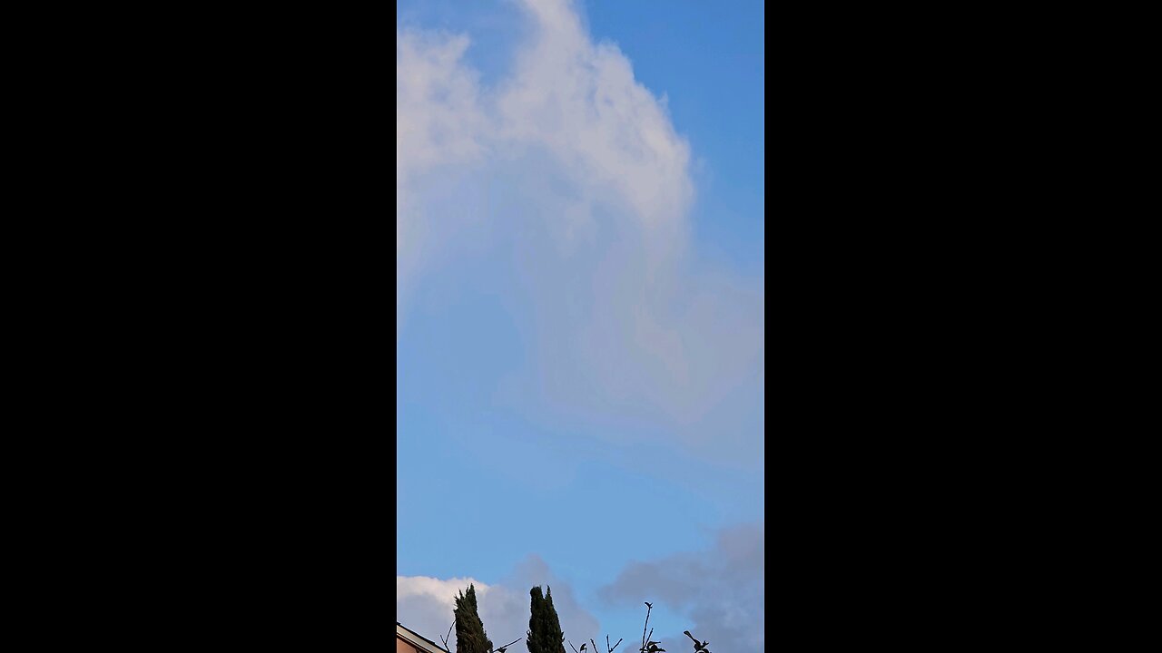 In Heaven they're at peace 🕊️