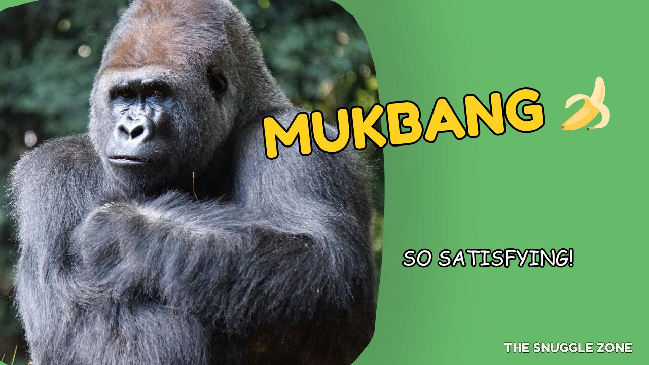 GORILLA'S BANANA MUKBANG 🍌🦍 | Satisfying Ape Eating