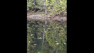 God is good all the time 1461: Halloween- One Christian's View