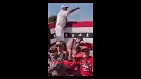 US SHEEP AIN'T PRISONERS NO MORE! WE DID IT! WE FIGURED IT OUT!