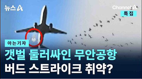 무안공항 버드스트라이크 하트뿡💜 최초공개!!!