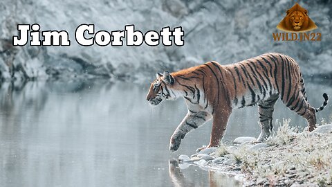 Jim corbett National Park | Wildlife Documentary | Tiger of India Documentary | Tiger reserve Park
