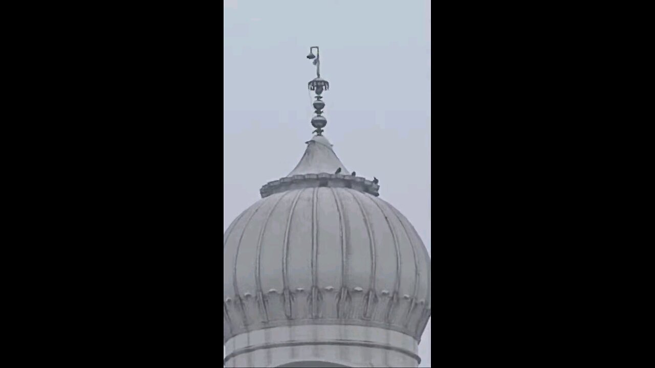 satisfying Video