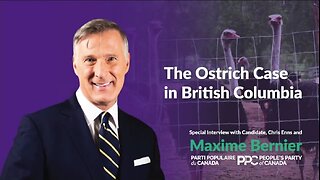 I speak with PPC candidate @_chrisenns who is on site at Universal Ostrich Farm in Edgewood, BC. @