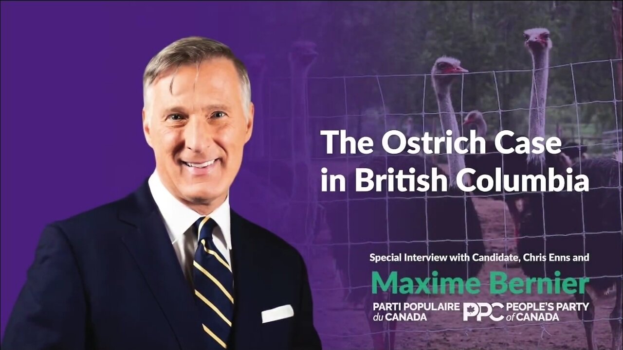 I speak with PPC candidate @_chrisenns who is on site at Universal Ostrich Farm in Edgewood, BC. @