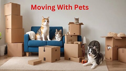 Moving with Pets Checklist: Stress-Free Relocation Tips