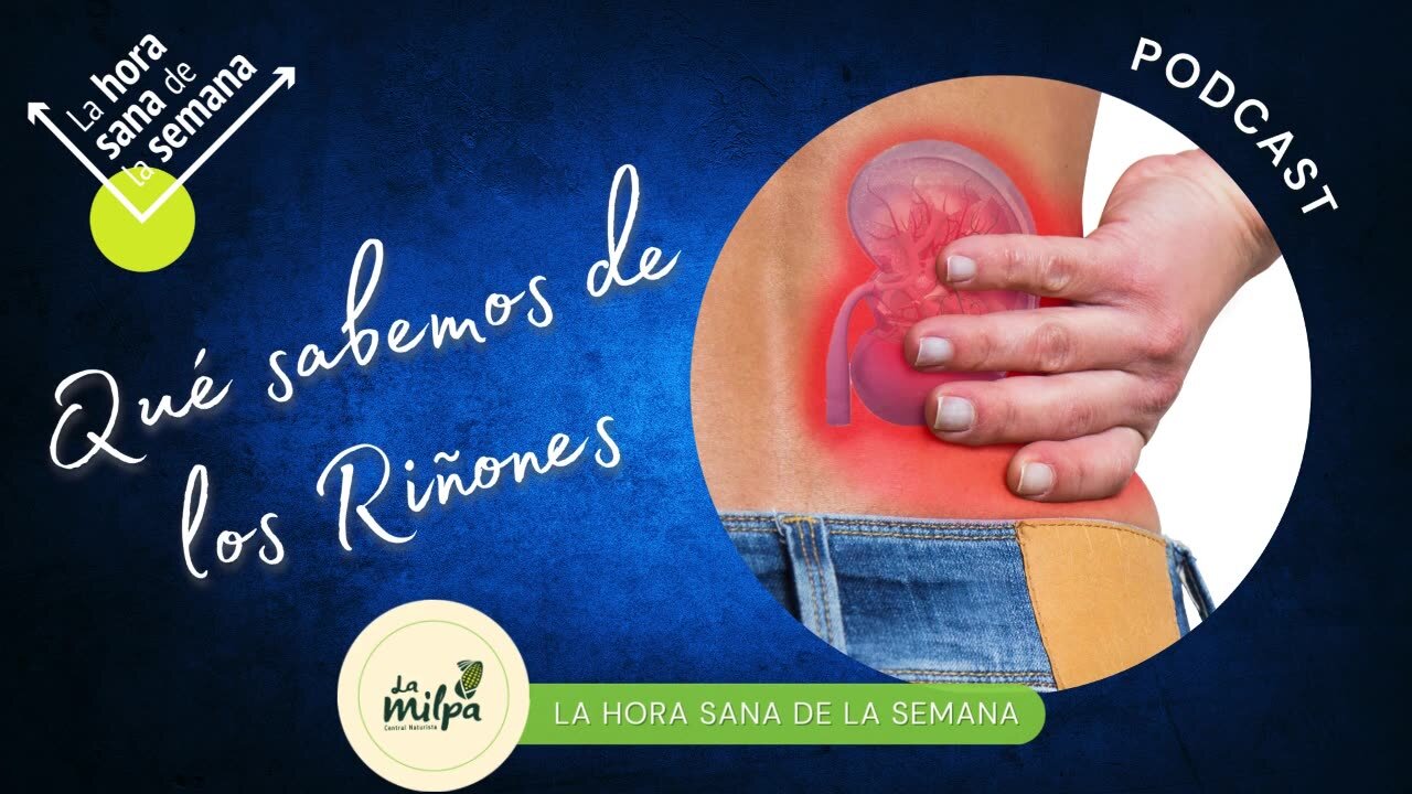 Qué sabemos de los Riñones