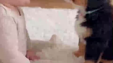 When a Puppy and a Baby Share Secrets 💕🐾