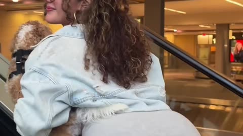 McKenzie Valdez Shimmy