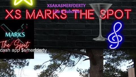 Lets Chat ask me anything more likes+followers ..gaming and Reactions with Exceptionally X's