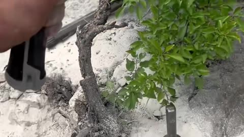 ✨🤯 A Mind-Blowing Way to Save Time in the Kitchen! | LifeHacksDaily