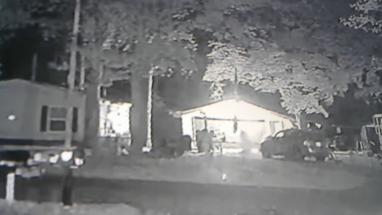 rare catch stalker in cloaking