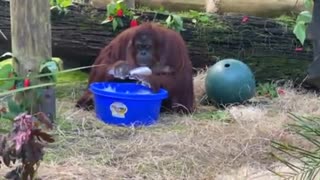 😂🧼 You Won't Believe What Happens When They Clean Their Hands! | FunFM