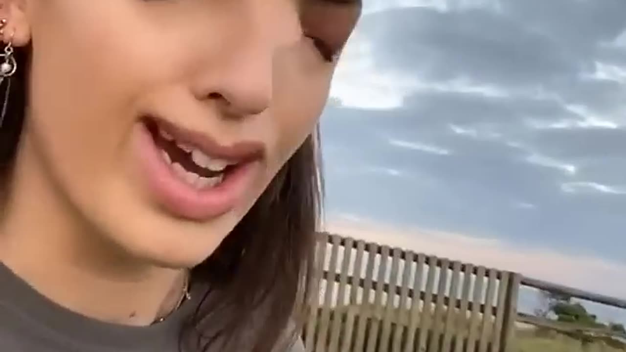 the most funny things in the world
