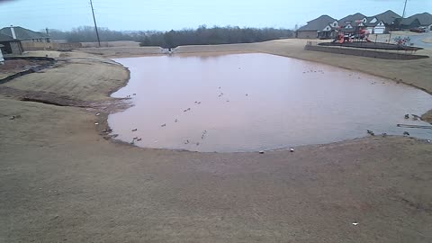 Christmas Eve on the pond