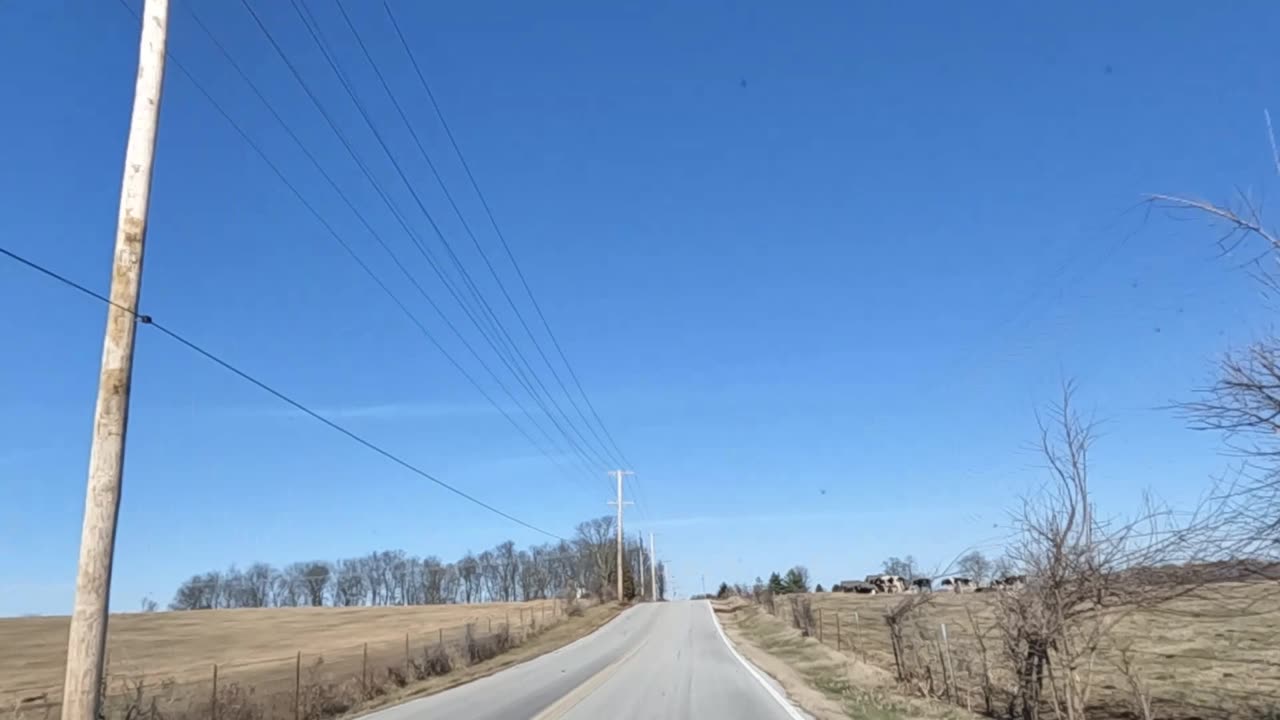 Remembering Martin Luther King Junior